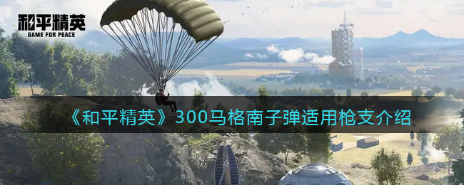 《<a href=https://cuel.cn/YOUXI/15802.html target=_blank class=infotextkey>和平精英</a>》300马格南子弹适用<a href=https://cuel.cn/YOUXI/11984.html target=_blank class=infotextkey>枪支</a>介绍