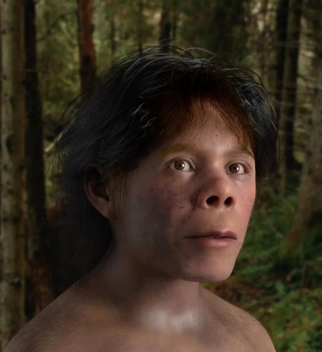 4万年前8岁男孩容貌再现