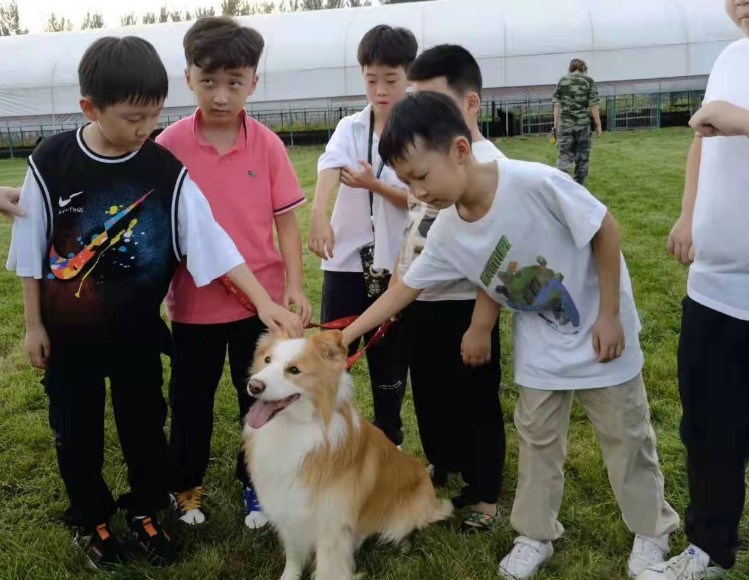 广西一中学竟能带宠物上学？网友纷纷表示羡慕