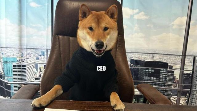 一只宠物狗“任命”CEO？马斯克为了流量整活？